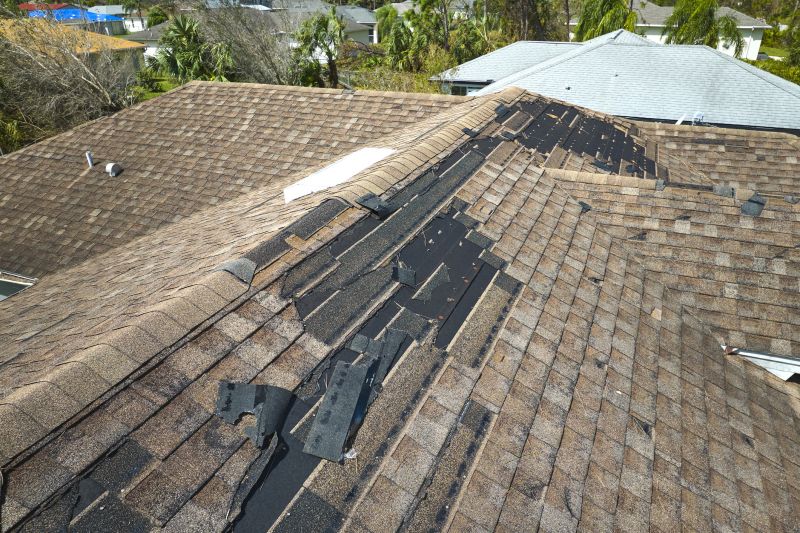 Inspecting and Diagnosing Roof Issues