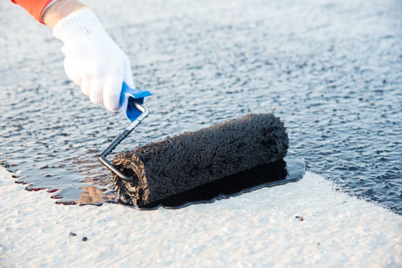 Tpo Roof Coating Service detail