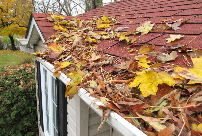 Seasonal Roofing